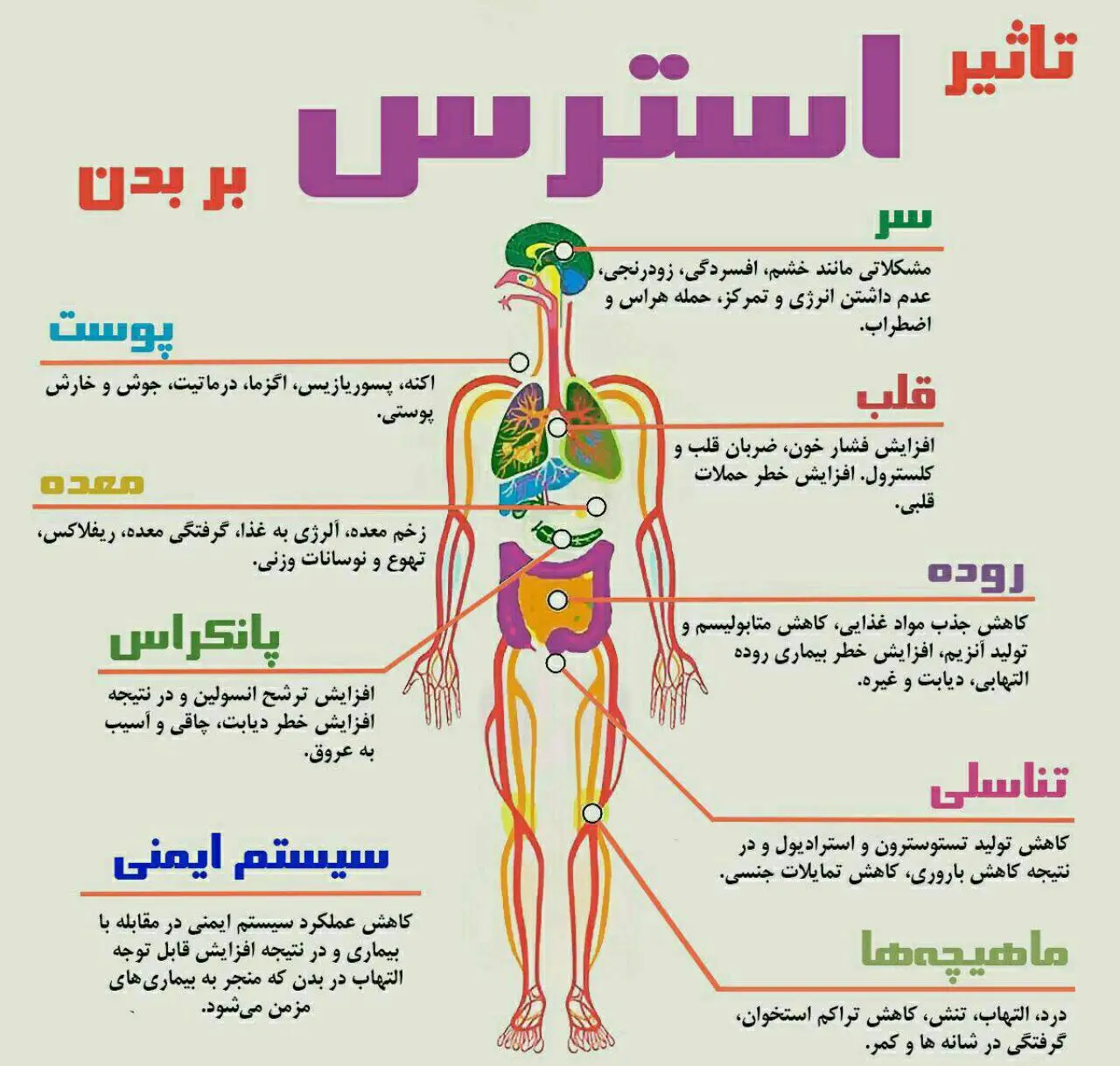 تست استرس مزمن | آیا بدن شما در سکوت فریاد میزند؟ 2