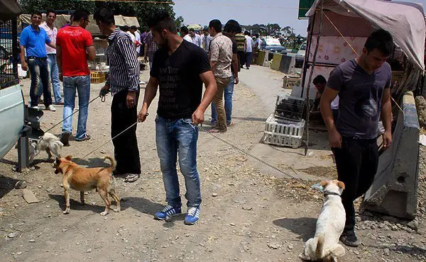 sagforoushbazar1.jpg