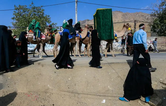 karbala-zaer.jpg