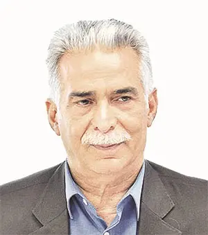 محمدرضا-بهرامن