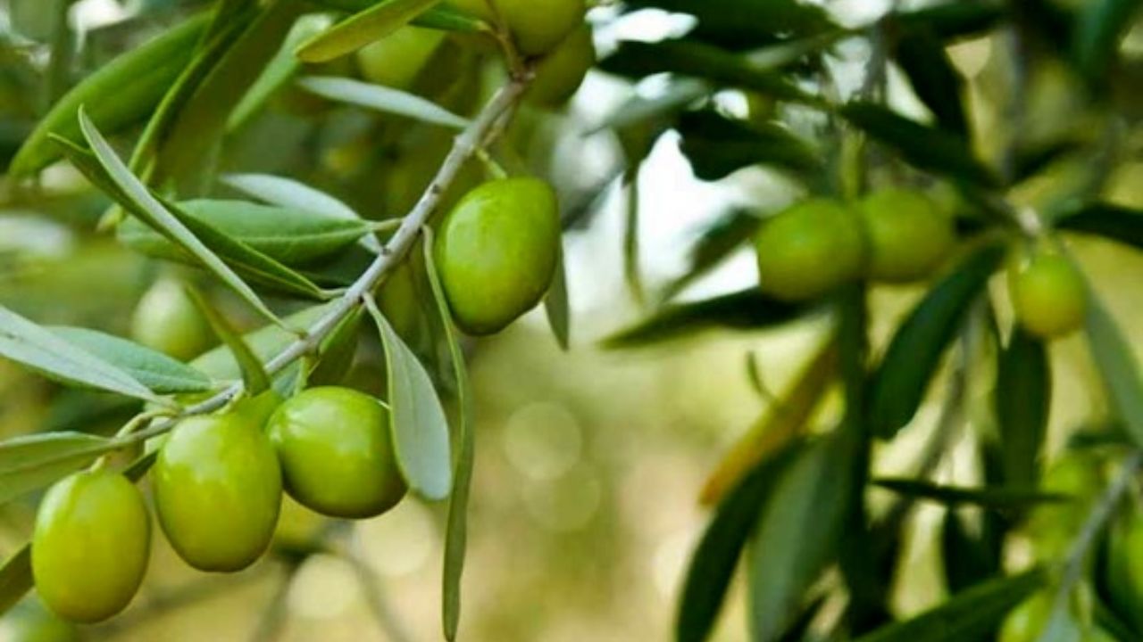 آغوش باز چین و روسیه برای ایران | میلیاردها دلار درآمد در راه است 4