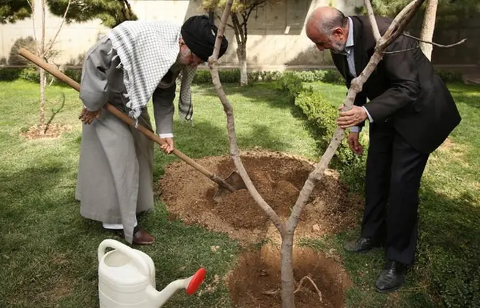 rahbar-gharasderakht1.jpg