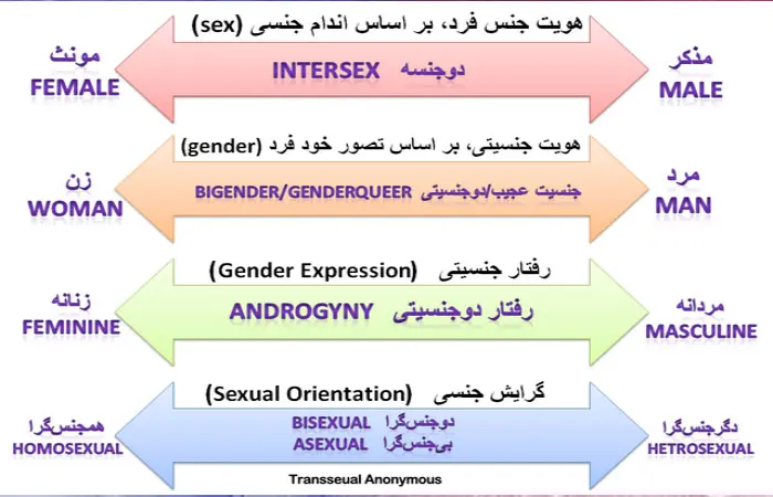 ts-transsexual-trans-jens-960527.jpg