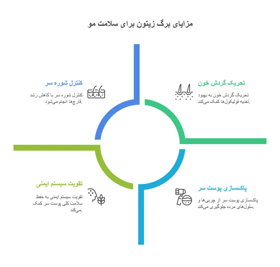 خواص برگ زیتون برای مو؛ معرفی 4 روش استفاده موثر