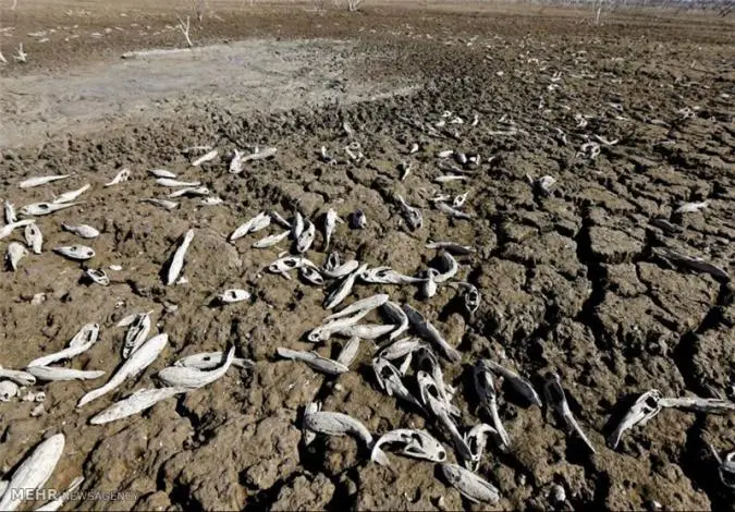 Dryness1.jpg