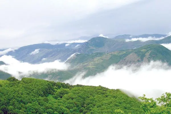 jangal-arasbaran.jpg