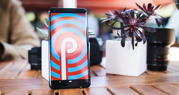 android9.jpg