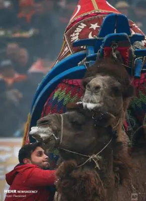 30232941ce39f1963e74adead5453b7484472d6