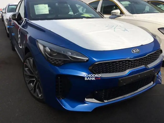 stinger1.jpg