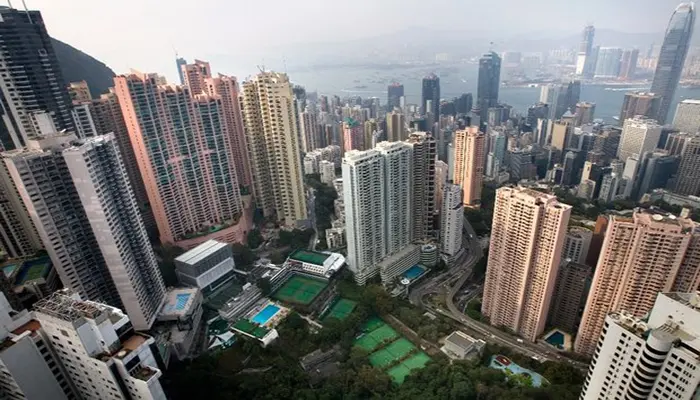 hong.jpg