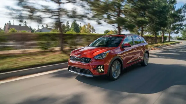 niro2.jpg
