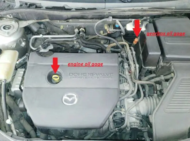 fluid6.jpg