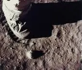 nassa8