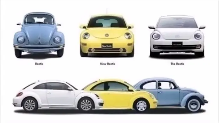 beetle3.jpg