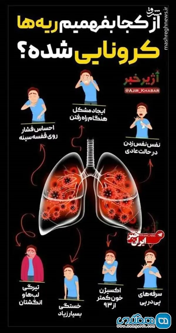 ریه+کرونا۱