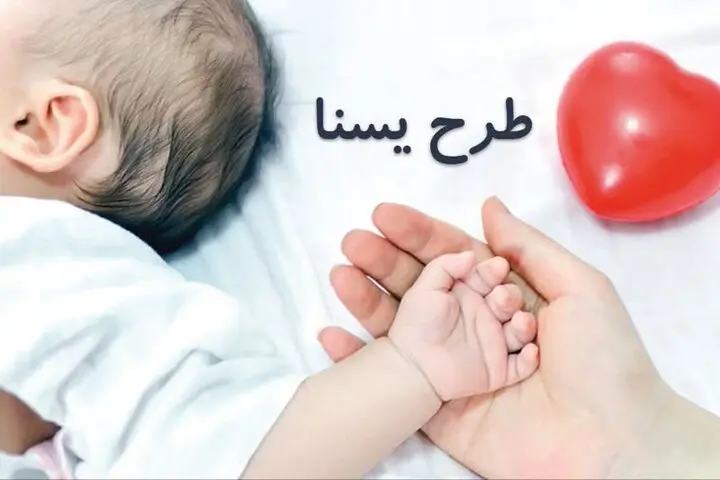یارانه جدید برای دهک های 1 تا 7؛ فقط این افراد 16 قلم کالا دریافت میکنند 2