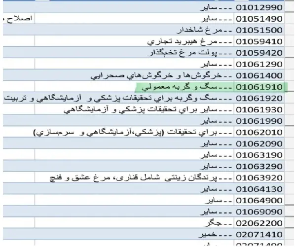 واردات سگ و گربه برای دولت مهم تر از کالاهای اساسی شد 2