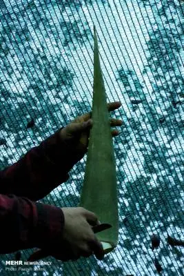 2994433270A0003-1600x1200