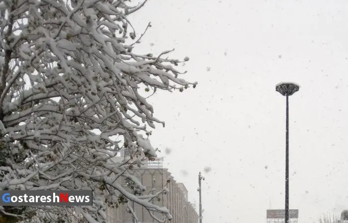 pooriarezaee-barf2.jpg