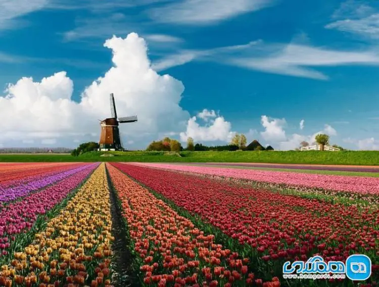 Holand.jpg