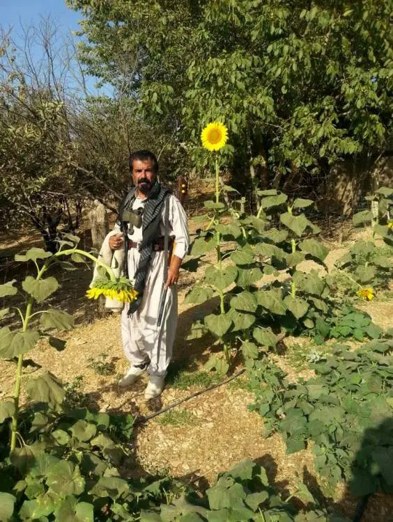 ‌boz060603.jpg