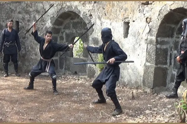 Ninjutsu-ninja-961025.jpg