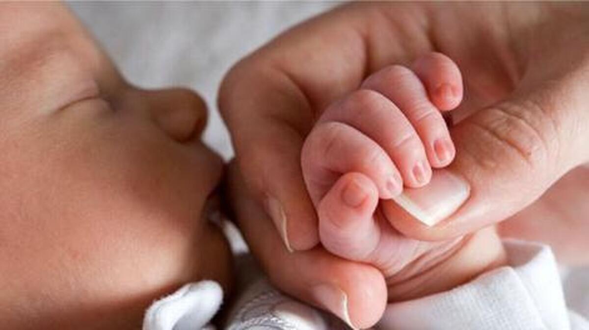 پول برای کالابرگ فراهم شد؛ مجلس دست دولت را رو کرد 4