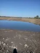 Valukola8