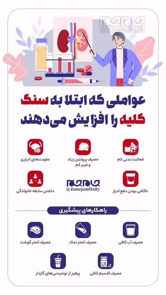 کلیه