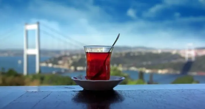ترکیه-آگهی۲