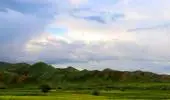 MOQAN9