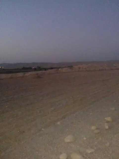 jobji070204.jpg