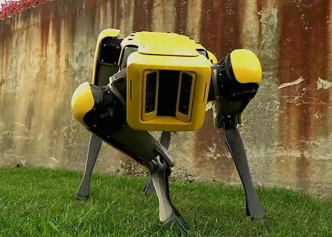 robatic6.jpg