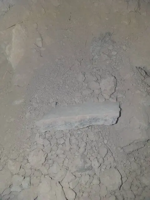 jobji070203.jpg