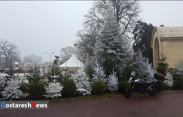 christmas-snow.jpg