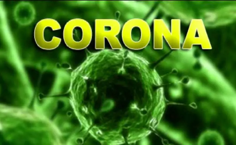 CORONA222.jpg