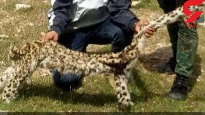 palangiran2.jpg