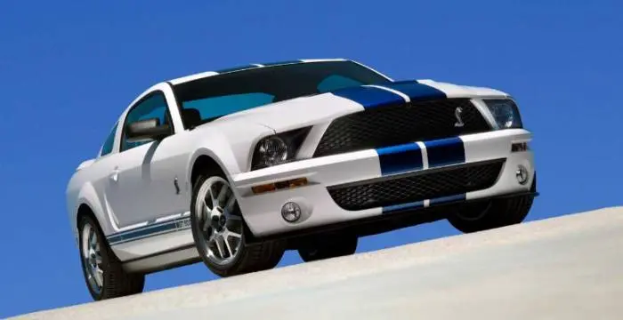 mustang-1.jpg