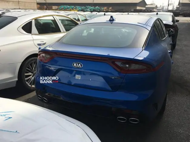 stinger3.jpg