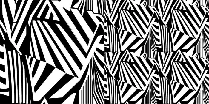 cover2.jpg