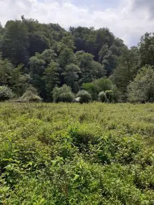 hirkani5
