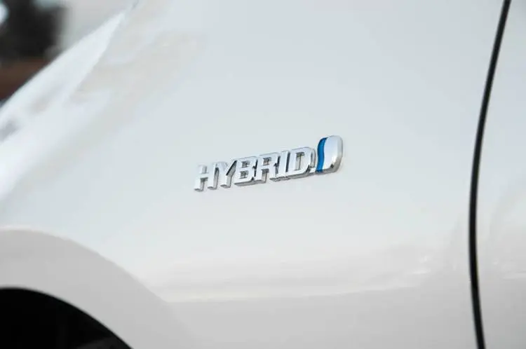hirbid.jpg