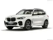bmwx51