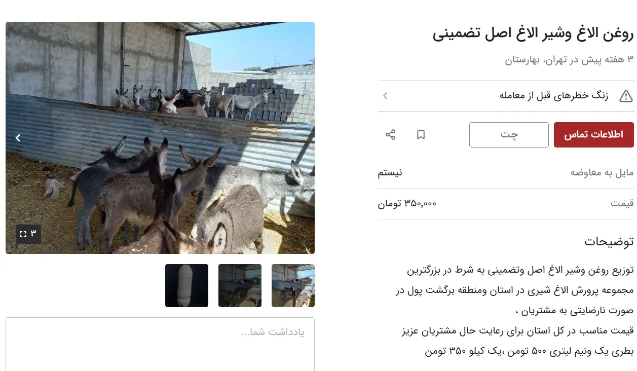 شیر-الاغ