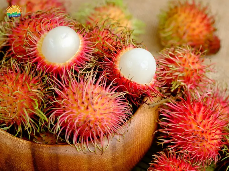 میوه-رامبوتان