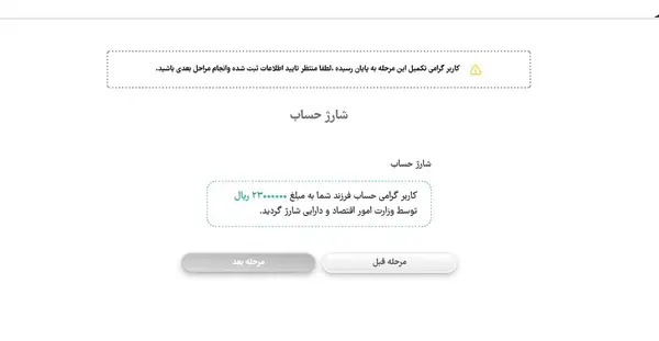 دولت برای نوزادان سنگ تمام گذاشت + جزئیات 2