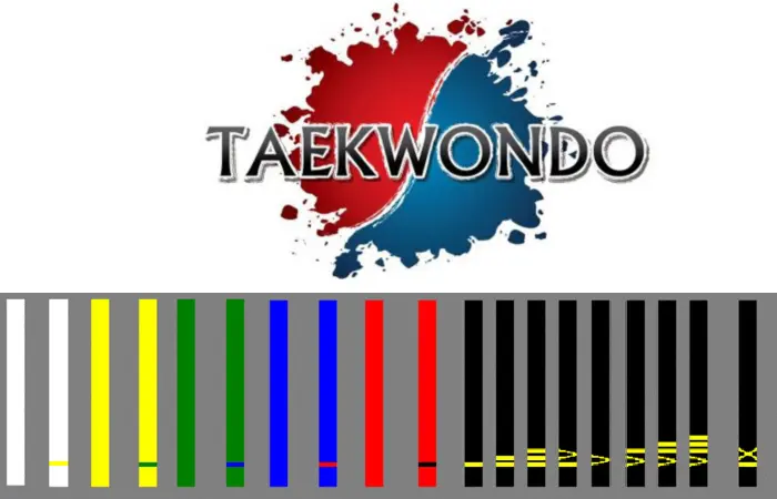 tekvando-varzesh-kamarband-mobareze-tecvando-961027.jpg