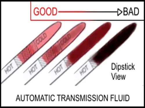 fluid5.jpg