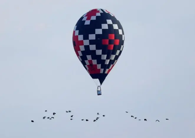 balon5.jpg