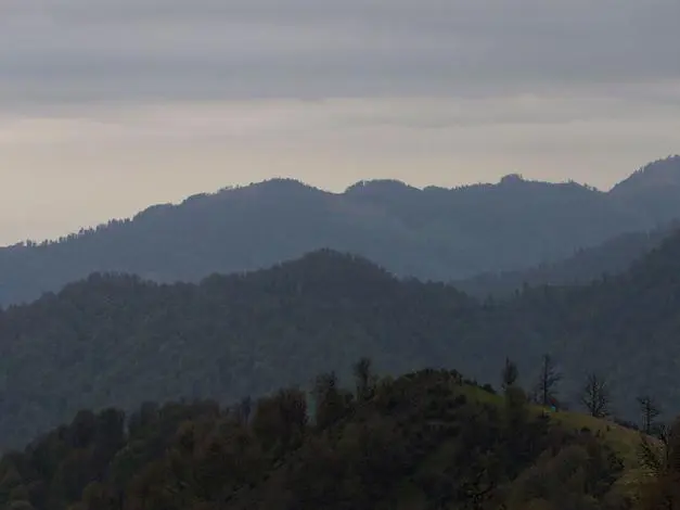 olasbelangah5.jpg